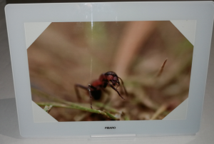 Fibaro Swipe med en egen bild i ramen