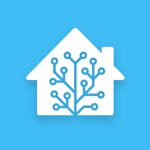 Home Assistant hass