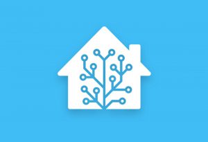 Home Assistant hass